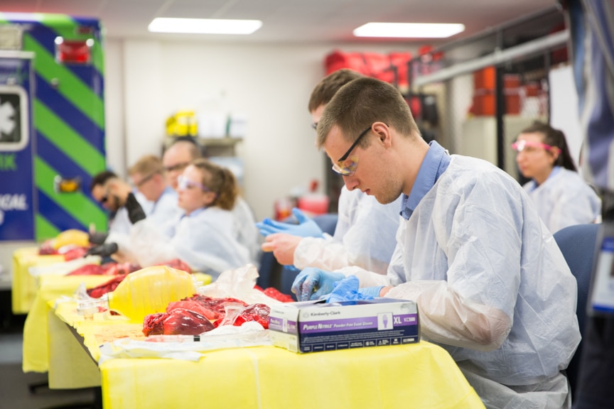 row of EMT students dissect pig organs at moraine park