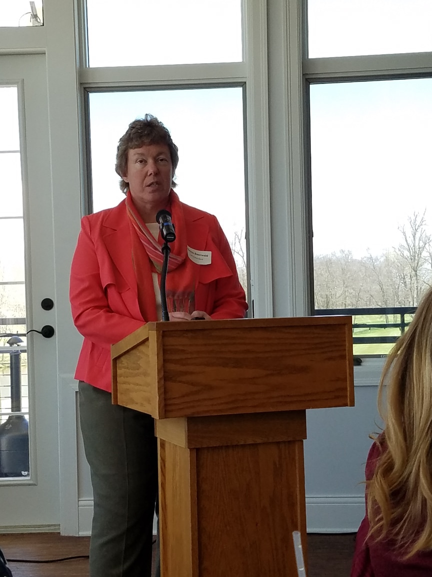 president bonnie baerwald speaks at podium at Wisconsin Women in Higher Education Leadership workshop