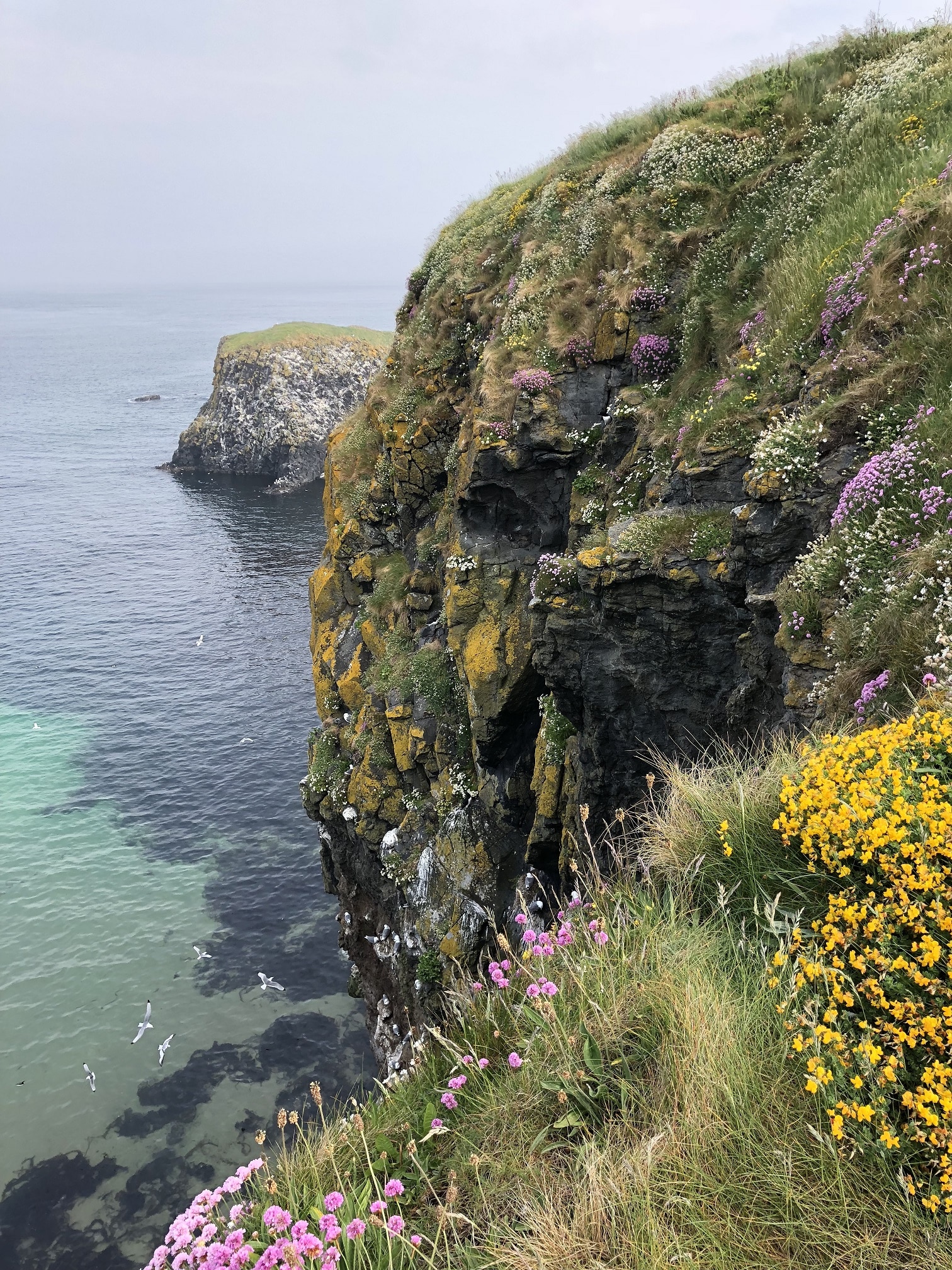 Cliff in Ireland