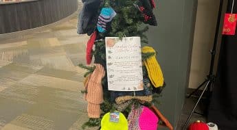 Giving Tree on the Fond du Lac campus